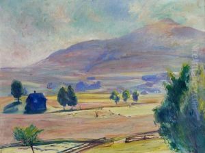 Appenzeller Sommerlandschaft Mit Faneren Appenzeller Sommerlandschaft Mit Faneren