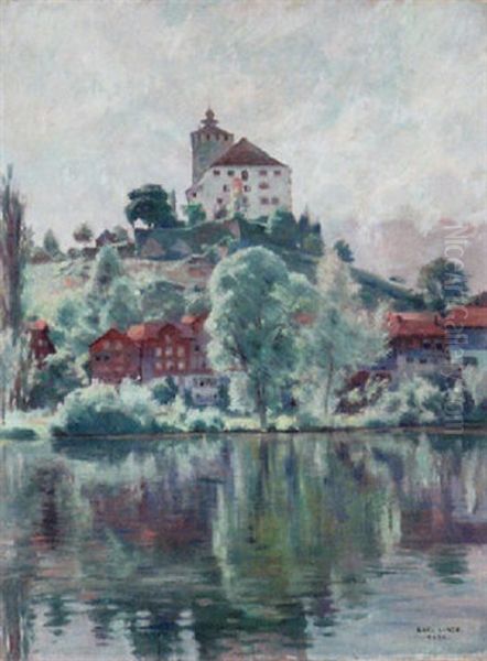 Schloss Werdenberg - view 1