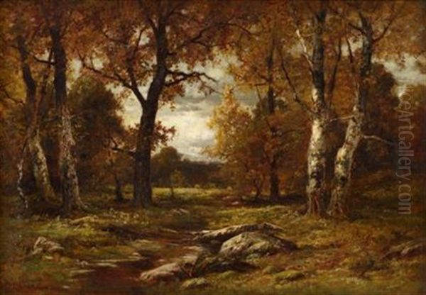 Woodland Scene - view 1