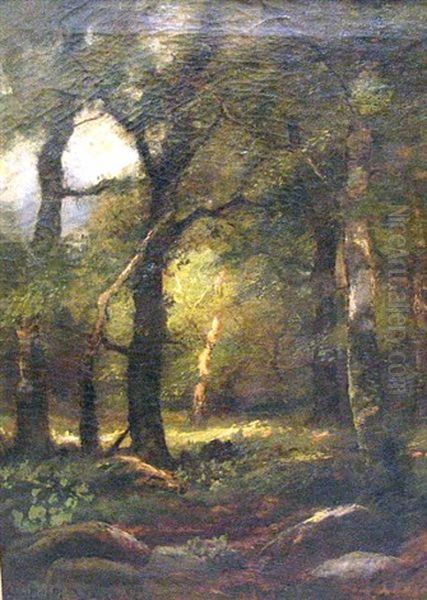 A Forest Interior - view 1