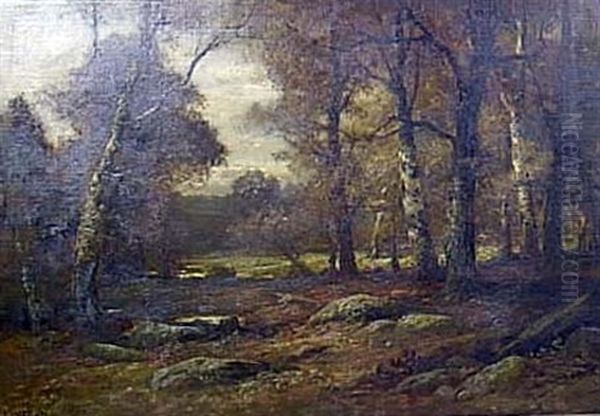 Forest Interior - view 1