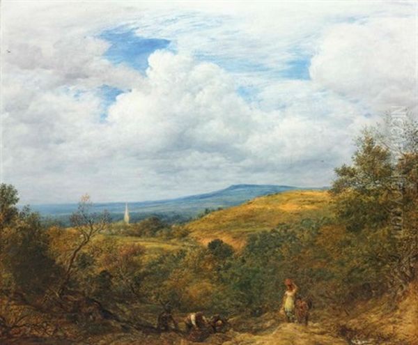 The North Downs, Surrey - view 1