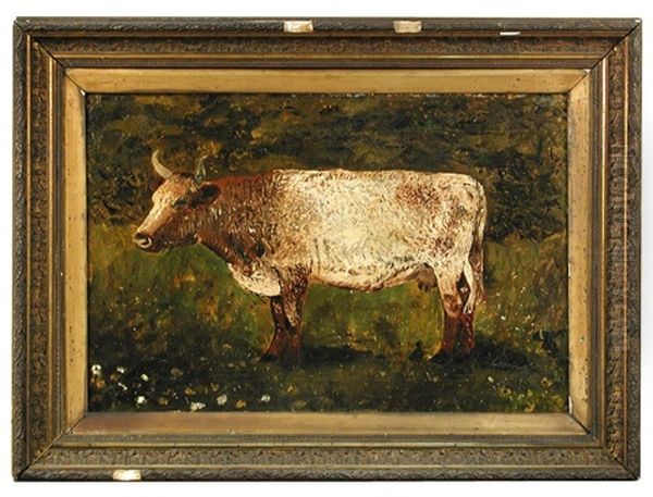 Study Of A Shorthorn Cow - view 1