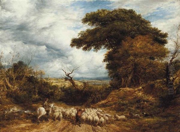 The Purchased Flock - view 1