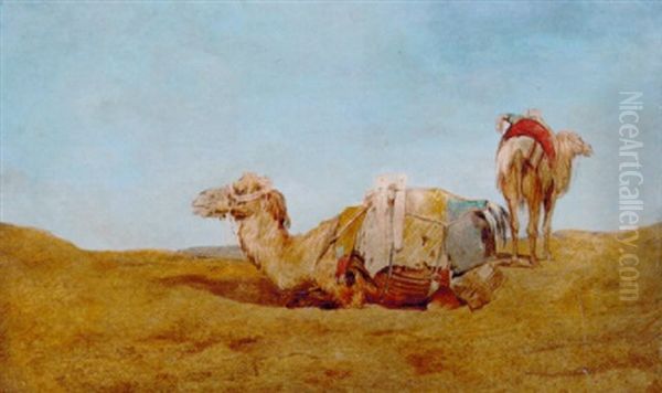Camels In The Desert - view 1