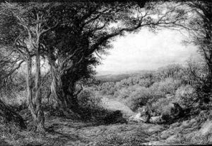 Figures Resting In A Wooded Landscape by John Linnell