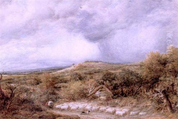 The Coming Storm - view 1