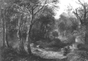 A Wood Scene A Wood Scene