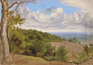 View Near Redhill, Surrey (+ Woodland Near Redhill, Surrey, Watercolor And Chalk; 2 Works) by William Linnell