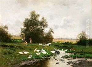 Sommerlandschaft Am Fruhen Morgen