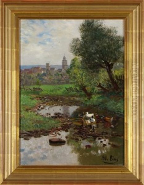 Enten Am Bach Vor Grebenstein - view 1