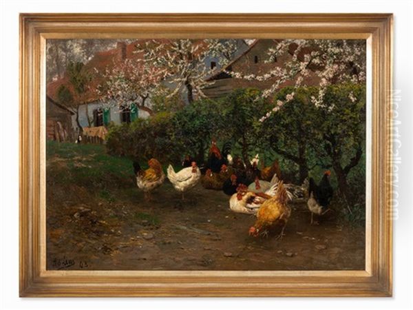 Chicken Yard - view 1