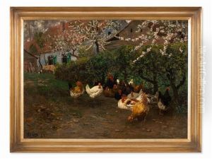 Chicken Yard