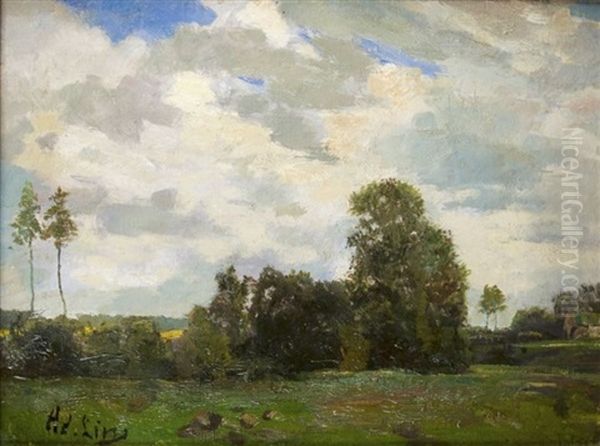 Sommerliche Landschaft - view 1