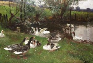 Ganse Am Weiher by Adolf Lins