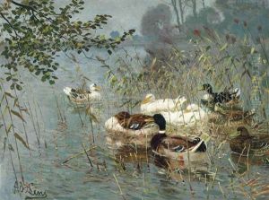 Ducks In The Reeds by Adolf Lins