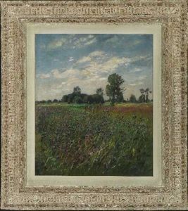 Sommerliche Wiesenlandschaft Sommerliche Wiesenlandschaft