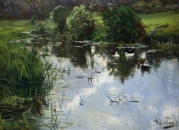 Ducks On A Pond - view 1