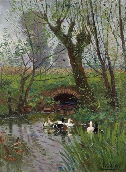 Ducks At A Creek - view 1
