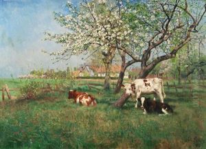 Kuhe Unter Bluhenden Obstbaumen Kuhe Unter Bluhenden Obstbaumen