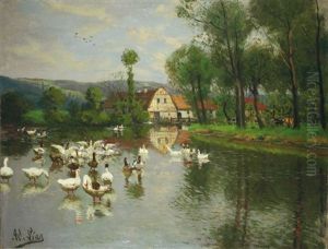 Ganse Auf Dem Weiher