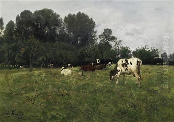Kuhe Auf Der Weide Am Waldrand - view 1
