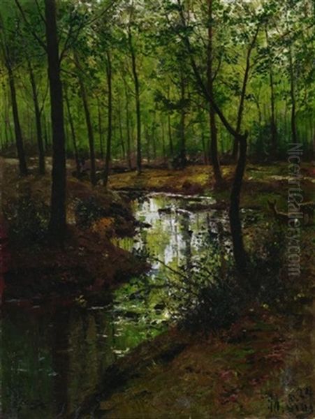 Sommerlicher Birkenwald Mit Bachlauf - view 1