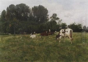 Weidendes Vieh Auf Weiter Baum Bestandener Wiese Weidendes Vieh Auf Weiter Baum Bestandener Wiese