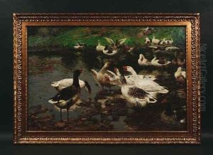 Eine Schar Wildganse Hat Sich An Einem Teich Niedergelassen Eine Schar Wildganse Hat Sich An Einem Teich Niedergelassen