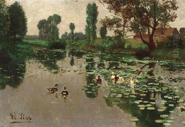Enten Auf Einem Dorfteich - view 1