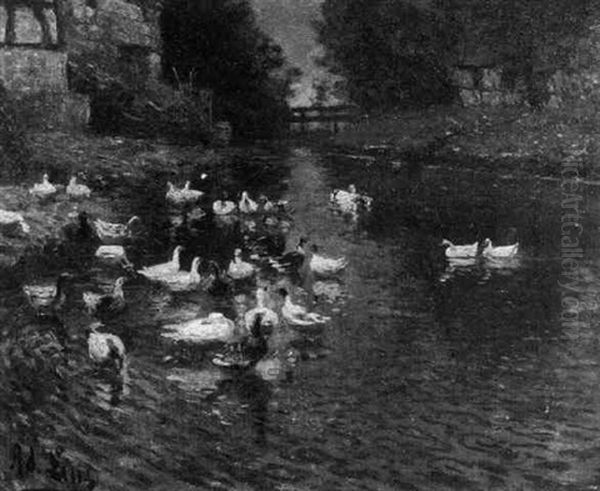 Enten Am Dorfteich - view 1