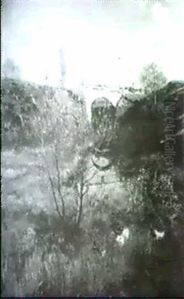 Sommertag In Einer Flussaue - view 1