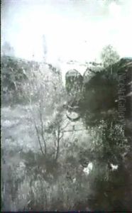 Sommertag In Einer Flussaue Sommertag In Einer Flussaue
