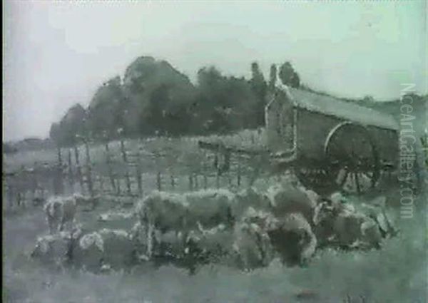 A Sheep Fold - view 1