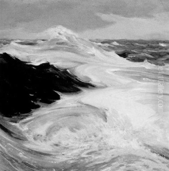 The Sea Trail - view 1
