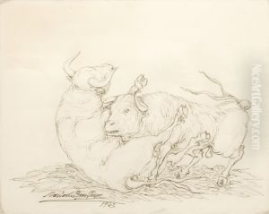 Toros