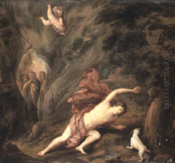 Narcissus - view 1