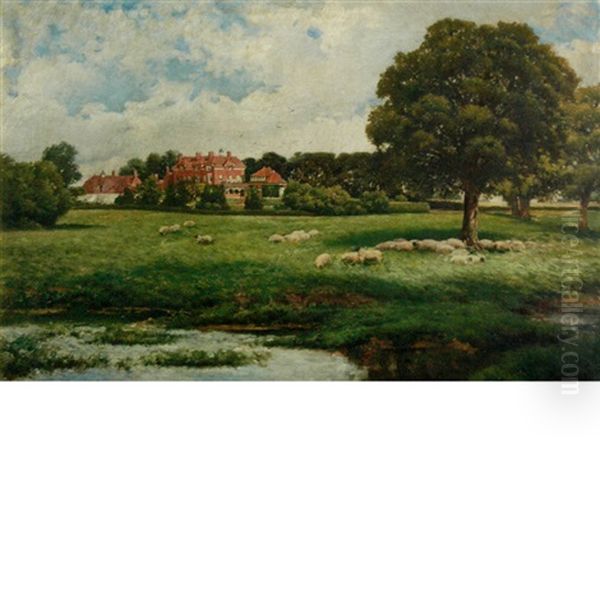 Sheep In The Pasture, Said To Be New House Park, St. Albans - view 1