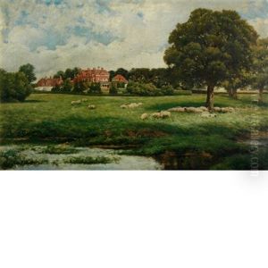 Sheep In The Pasture, Said To Be New House Park, St. Albans Sheep In The Pasture, Said To Be New House Park, St. Albans