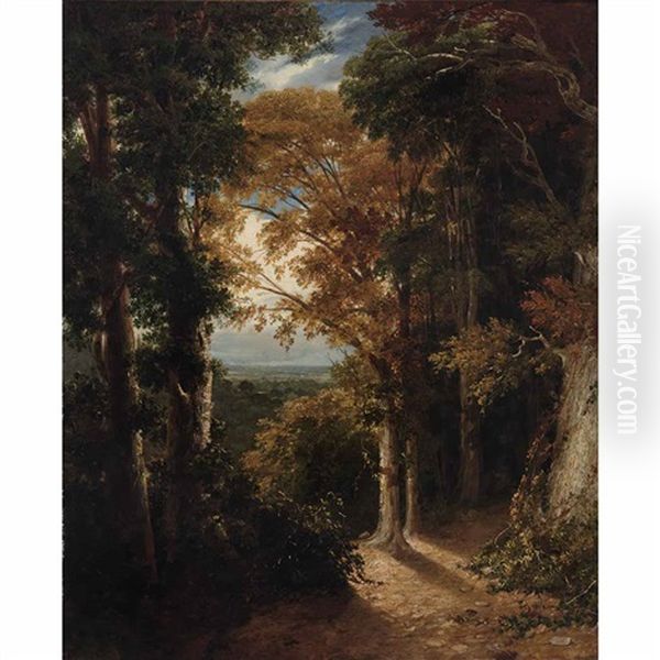 A View Of A Grove From Lord Northwick's Villa At Harrow - view 1