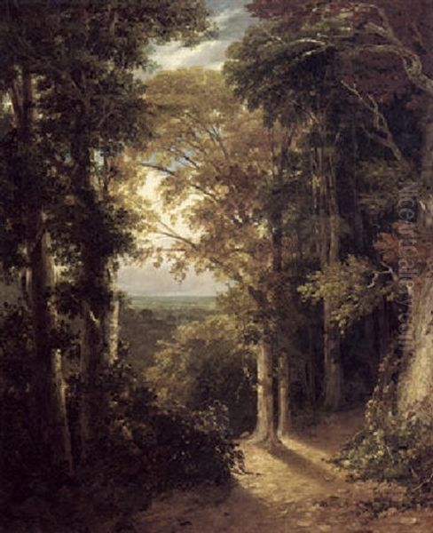 A Grove Scene In The Grounds Of Lord Northwick's Villa At Harrow - view 1