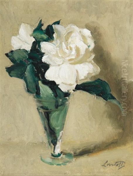 Still Life - view 1