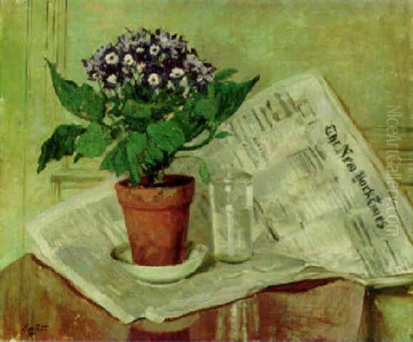 Cineraria And The New York Times - view 1