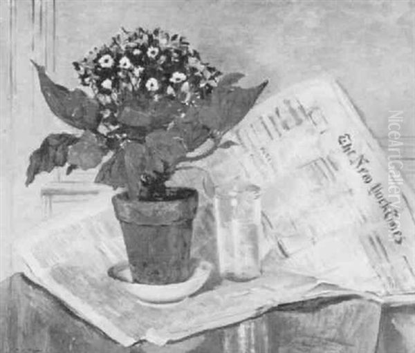 Cineraria And New York Times - view 1