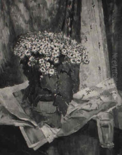 Cineraria And Newspaper - view 1
