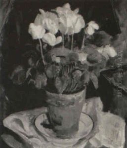 The White Cyclamen Plant The White Cyclamen Plant