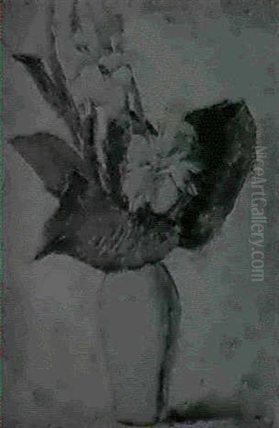 Still Life Of Cannas - view 1