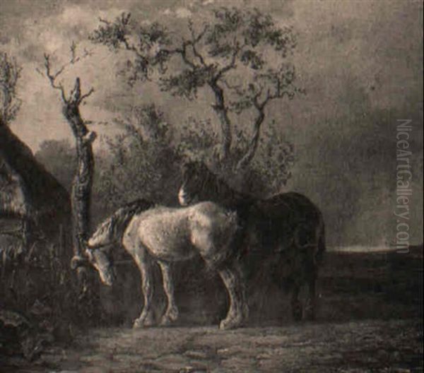 Chevaux Dans Une Prairie - view 1