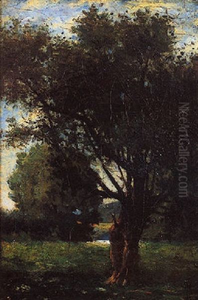 Le Grand Saule - view 1