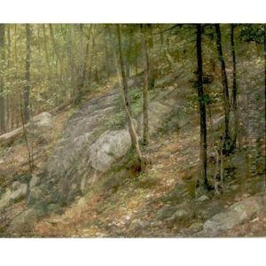 In The Woods by William Henry Lippincott